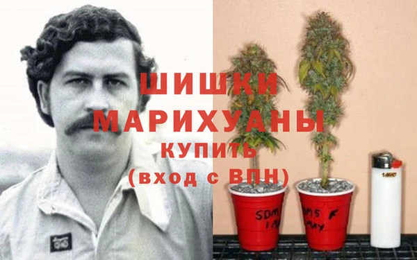 spice Надым