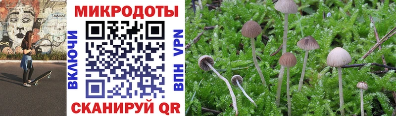 Псилоцибиновые грибы Psilocybe  OMG рабочий сайт  darknet официальный сайт  Суджа 
