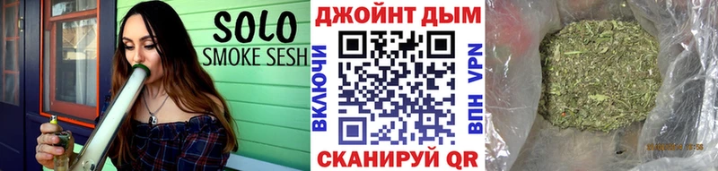 где найти наркотики  Суджа  Конопля семена 